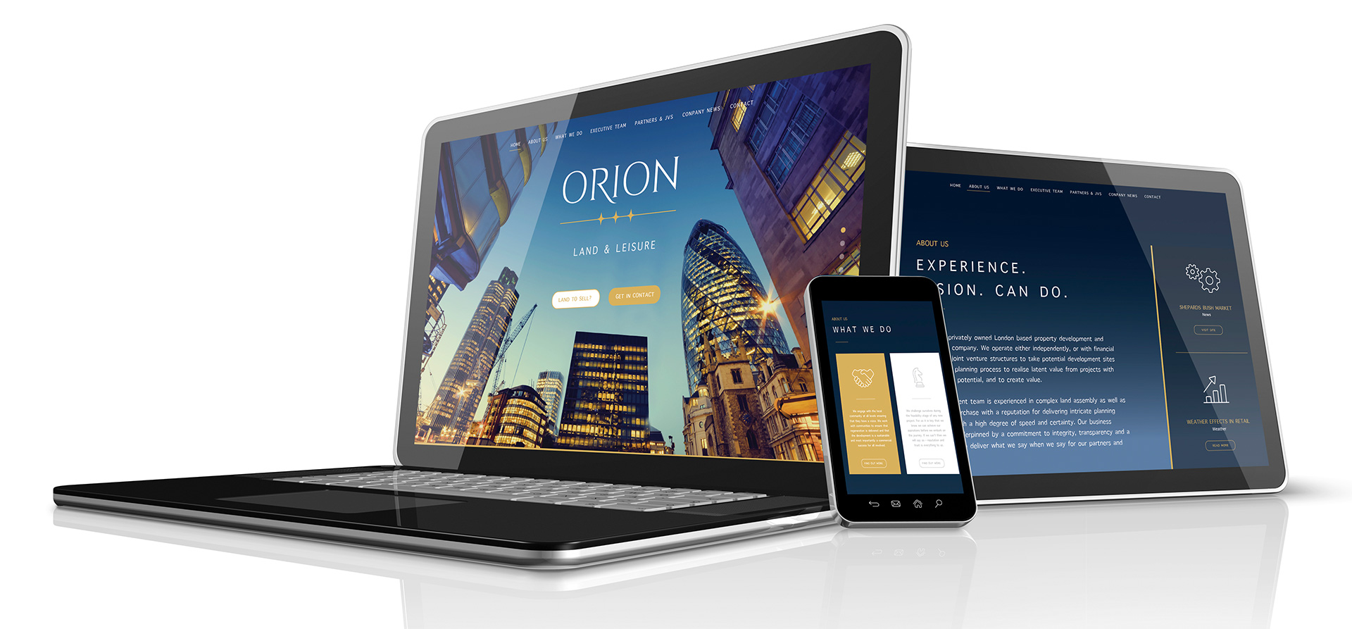 orion case study orion case study